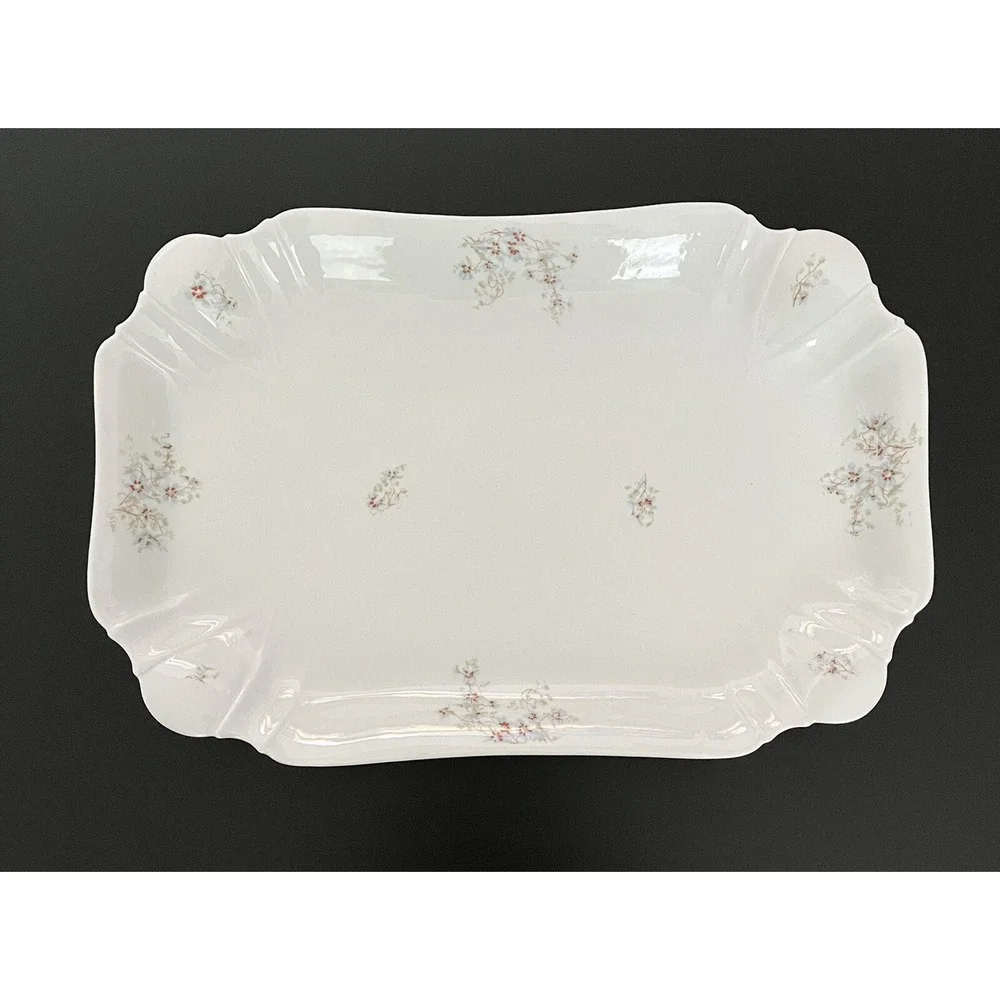 Vintage Leonard Vienna Austria Serving Platter Wildflowers Porcelain Large - 16